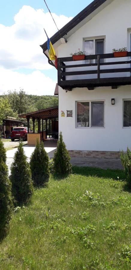 Гостевой дом Casa Ghica Valea Sălciilor-15