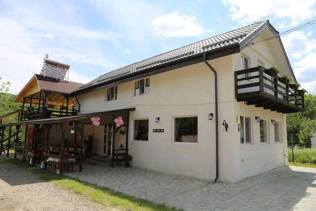 Гостевой дом Casa Ghica Valea Sălciilor-26